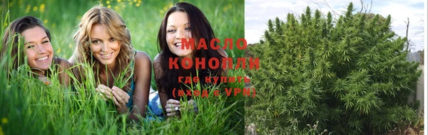 молекула духа Балахна